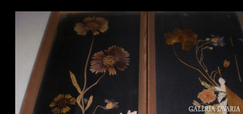 Retro  falikép,  szárított virágból, keretezve