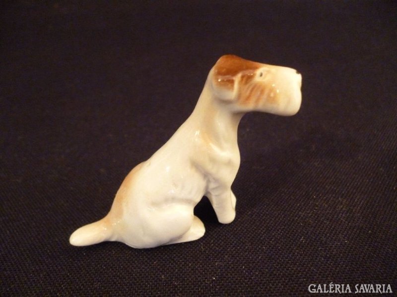 Y321 G3 Régi porcelán mini kutya foxi