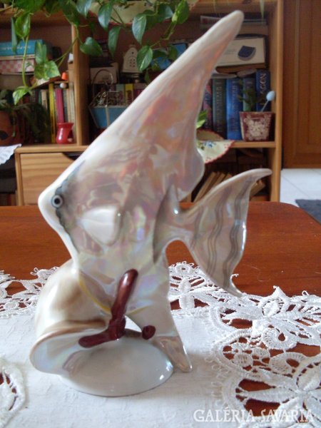 Porcelán vitorláshal 