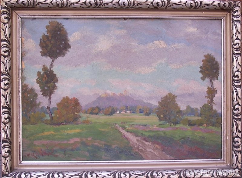 Vaclav Kozak (1889-): Czech landscape, Kunetická mountain