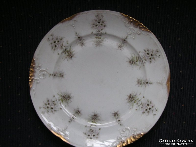 Pfeifer und  Löwenstein ,   gyönyörű antik , kézzel festett  , dísz tányér  25 cm