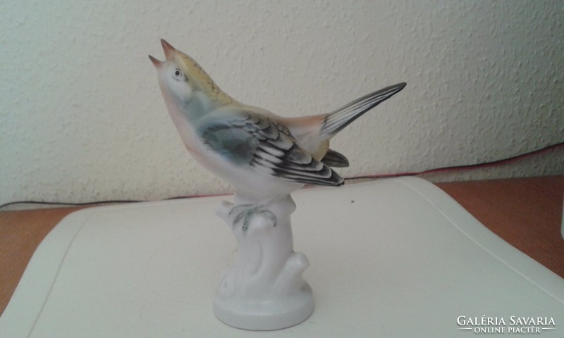 Volkstedter porcelain bird - 13 cm