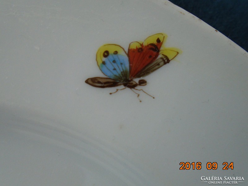 19.sz Kézzel festett papagájos, pillangós tányér