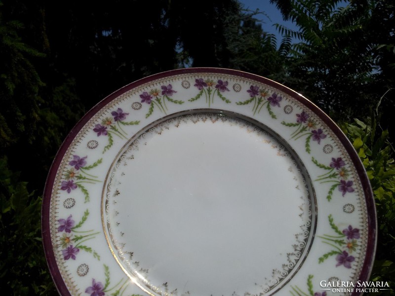 Antique violet plates