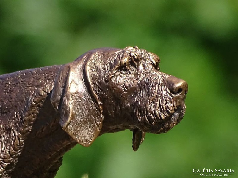 ​Wild wire-haired Hungarian Vizsla bronze statue