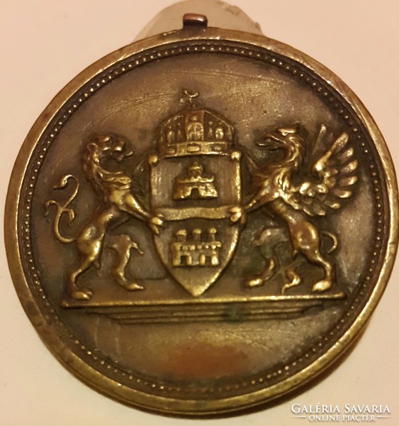 Smooth solid? The resort staff of Székesfőváros staff in balaton kenese 1924, bronze medal,
