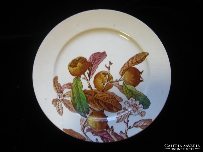 Lasponya / medlar / decorative plate with pattern, marked approx. 25 cm