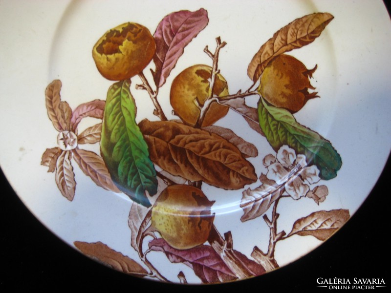 Lasponya / medlar / decorative plate with pattern, marked approx. 25 cm