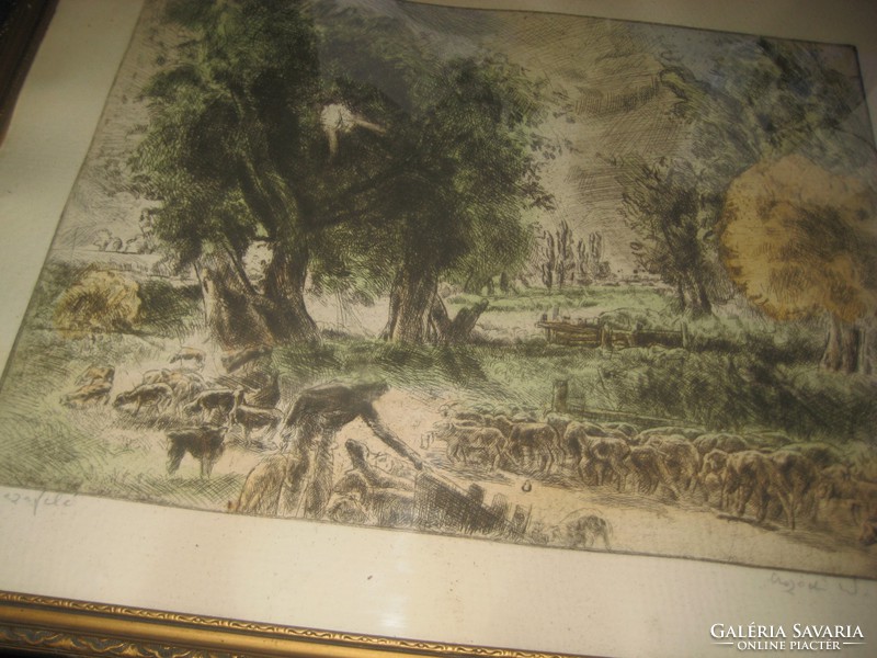 Aszódi N. Erzsébet    Hazafelé   színes rézkarc ,   38 x  28  és  52 x 42 cm  kerettel