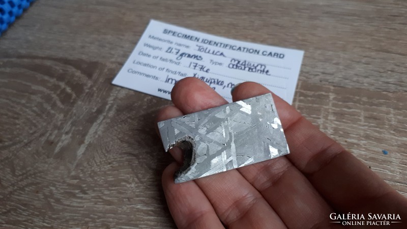 Mexican toluca meteorite slice