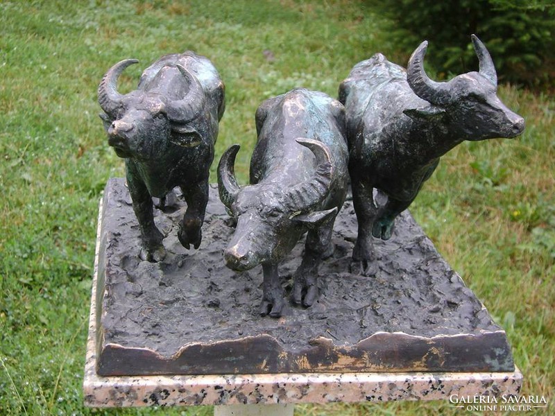Buffaloes (old friends) contemporary bronze sculpture