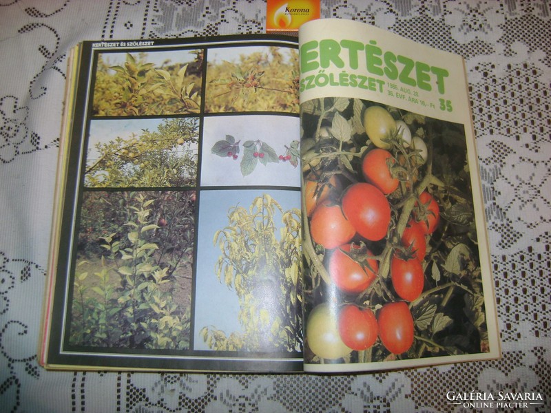 Kertészet és szőlészet folyóiratok kötve - 1982 januártól 1986 augusztusig