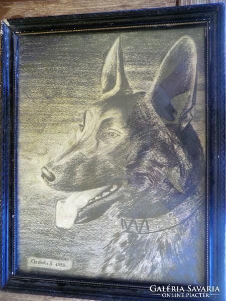 Kifinomult vonásokkal rajzolt kutya fej Asztalos Sándor 1935