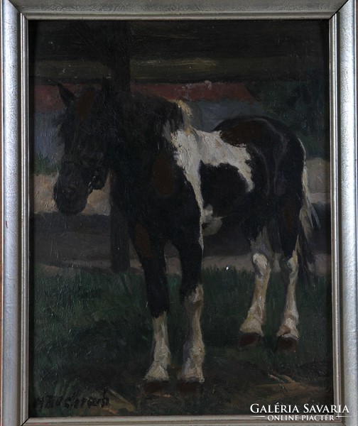 Ismeretlen festő: Ló az istállóban