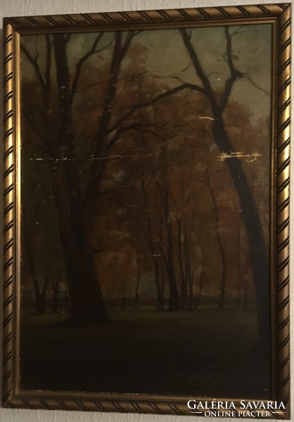 Kiss wolf imre (? -?): Forest detail. Oil, cardboard, marked, framed, 53 × 38 cm