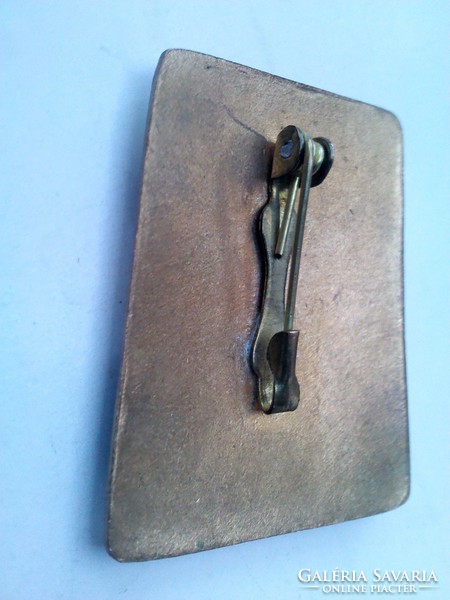 Fire enamel brooch pin