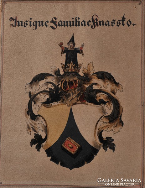 Knassto család címere, akvarelll