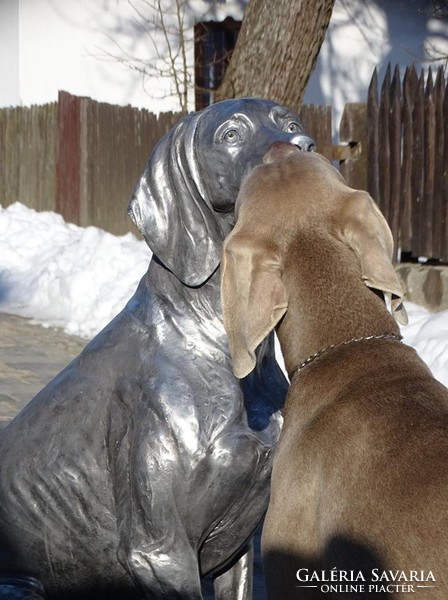 Weimaraner aluminum statue with a life size of 85 cm