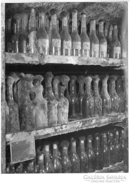 Borászat, szőlészet Vintage fotó 18*25 egy borász felvétele Királyi italok