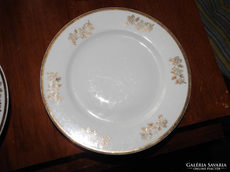 Old Czech gold-painted plate set