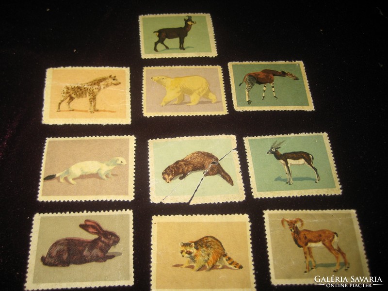 Régi bélyegképek , állatokról, gyerekeknek  , tíz db, 4,3 x 3,3  cm  az 50 es évekből