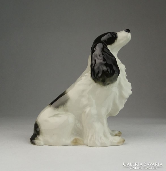 0U727 Régi jelzett porcelán spániel kutya 14 cm
