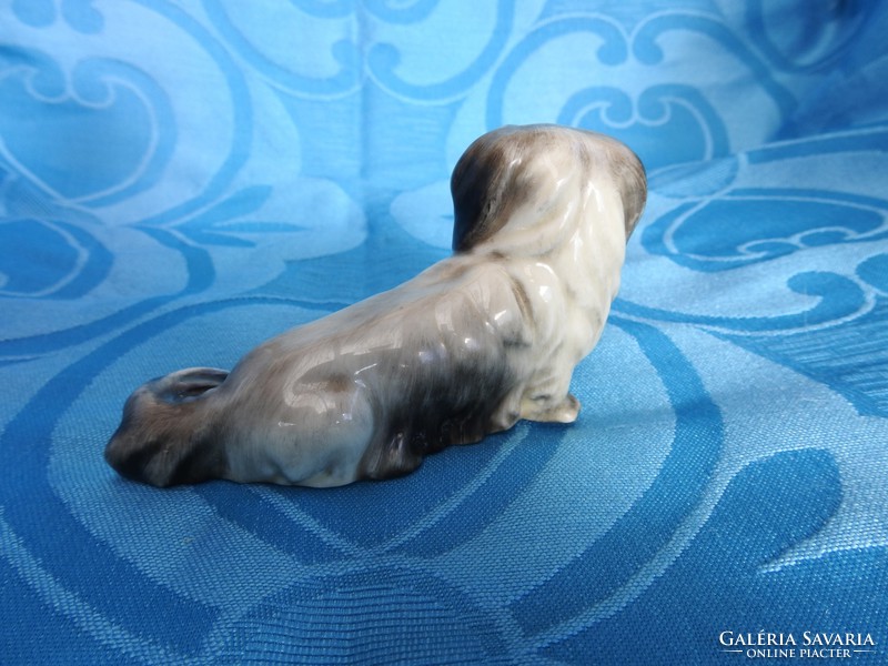 Drasche pincushion dog - rare