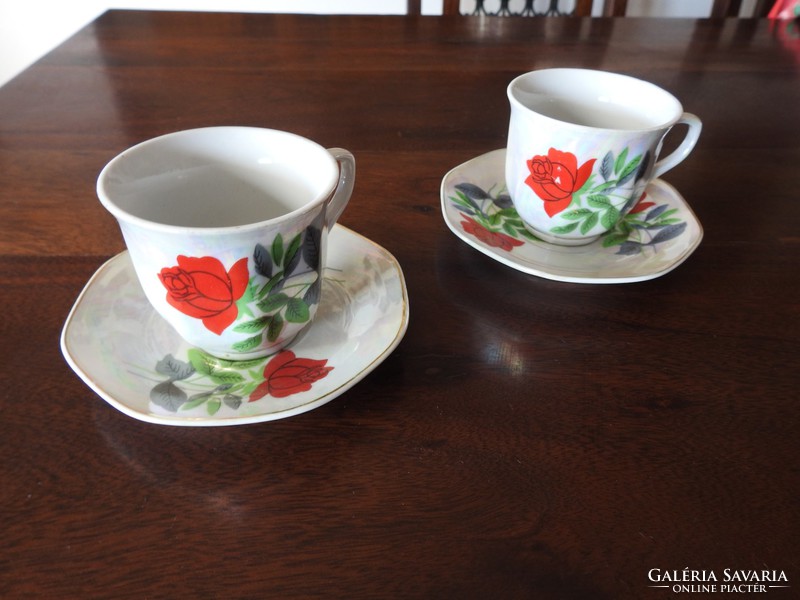 Sarir - pair of cups with German style rose pattern