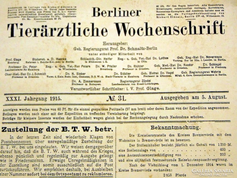 1915 augusztus 5  /  Külföldi újság   /  RÉGI EREDETI ÚJSÁG Ssz.: 842