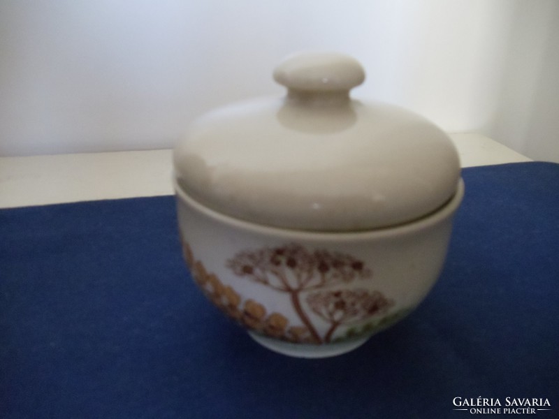 (Cp) colditz porcelain sugar bowl with dill pattern