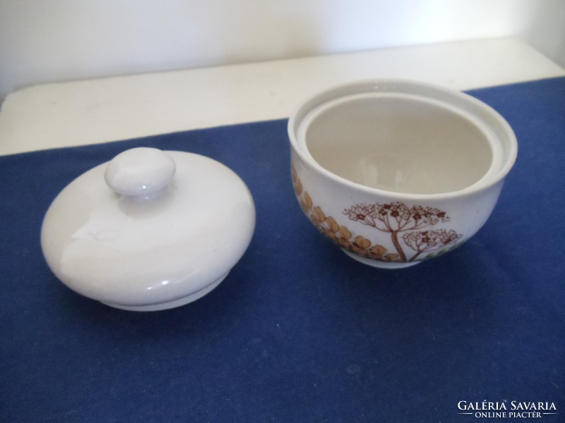 (CP) Colditz porcelán cukortartó kapros mintával