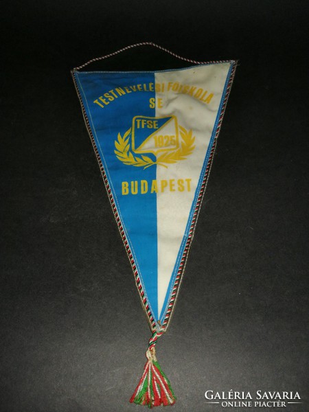 TFSE Testnevelési Főiskola 1925 sport zászló emlékzászló - EP