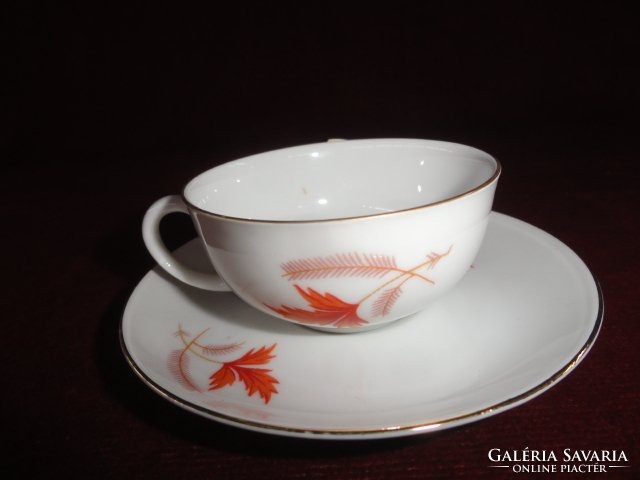 Arzberg German porcelain coffee cup + saucer. On a snow-white background with a golden edge. He has!