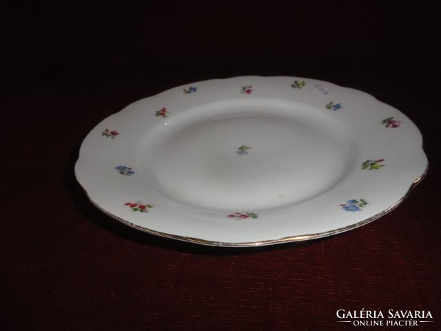 Mz Czechoslovak porcelain flat plate with a colorful flower pattern. He has!