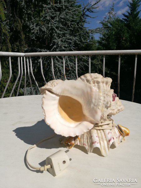 Sea shells lamp