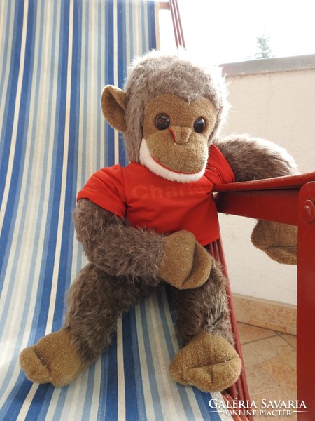 Nagyméretű öreg majom : Charley a csimpánz