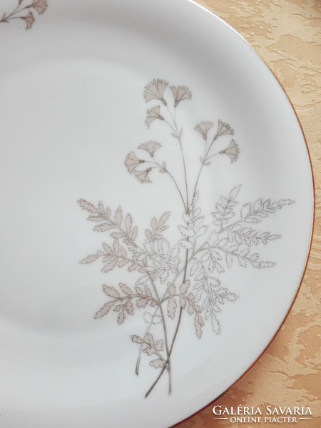 Hand-painted German porcelain plate with a special pattern, offering.