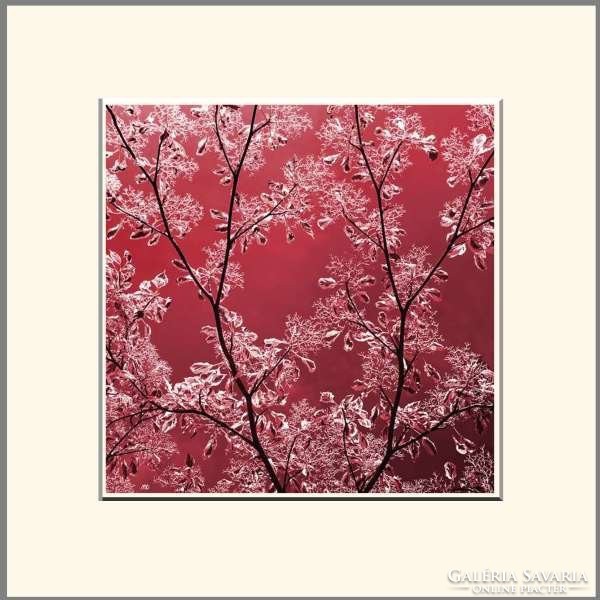 Moira risen: the wooden jewelry box - ruby. Contemporary, signed fine art print, frostbite branches frost