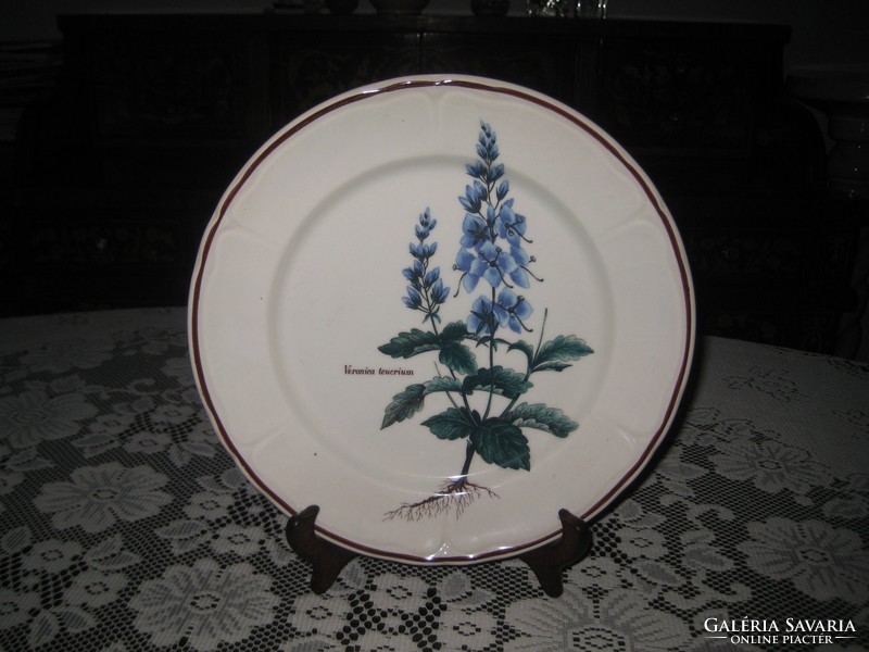 Veronica teucrium, herbal, botanical decorative plate 25 cm