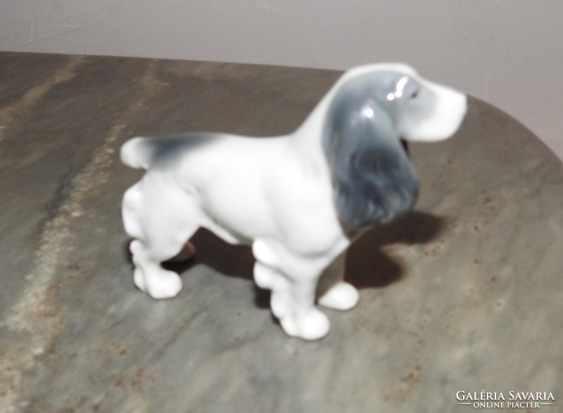 Metzler & Ortloff spaniel dog porcelain - marked, rare piece