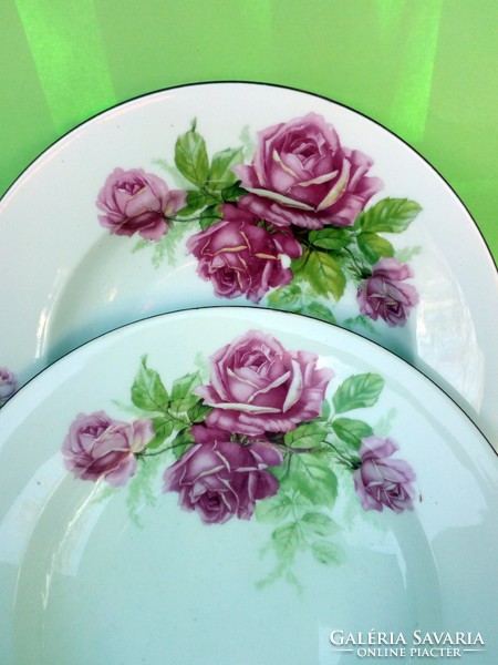 Pair of antique rose wall plates