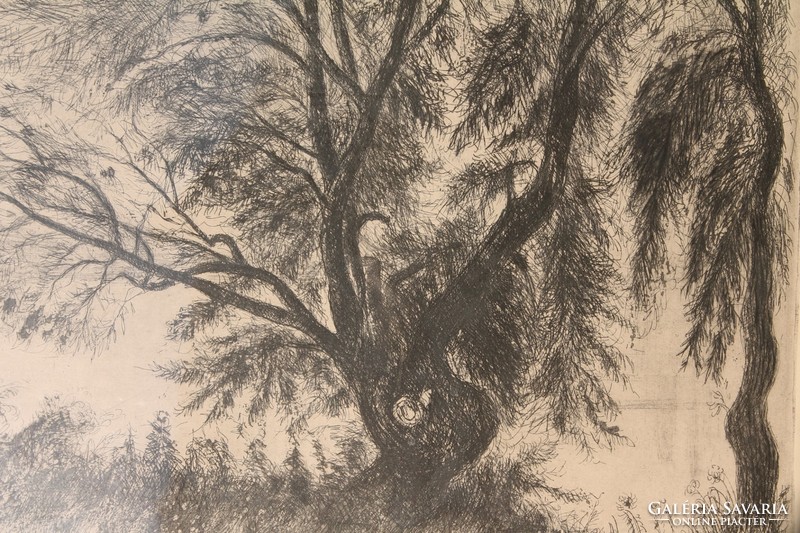 István Élesdy: old willow tree in Nagymaros