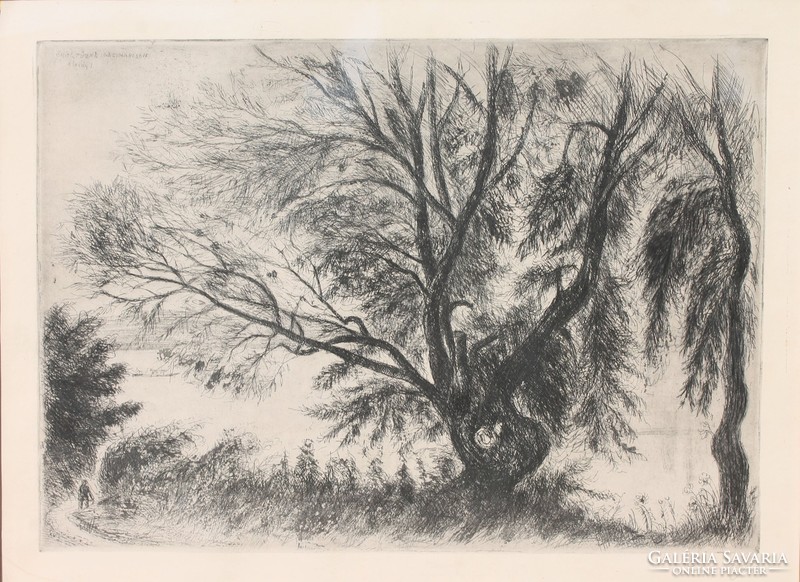 István Élesdy: old willow tree in Nagymaros