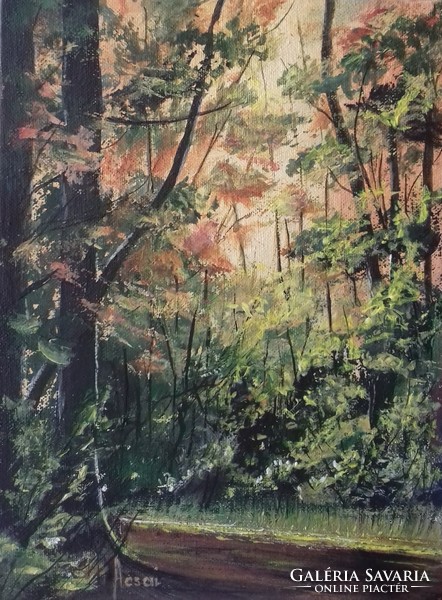 Napfényes erdő című festmény  -  tájkép