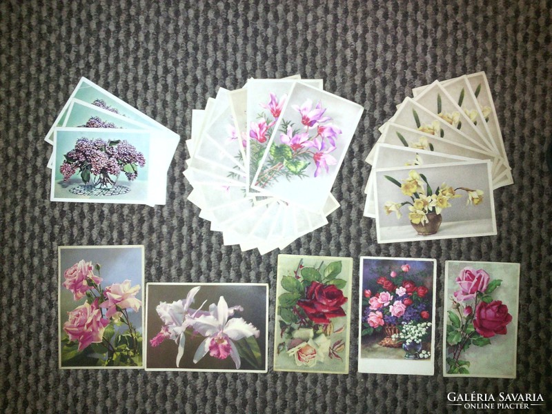 Virág mintás képeslapok - '40-es évek