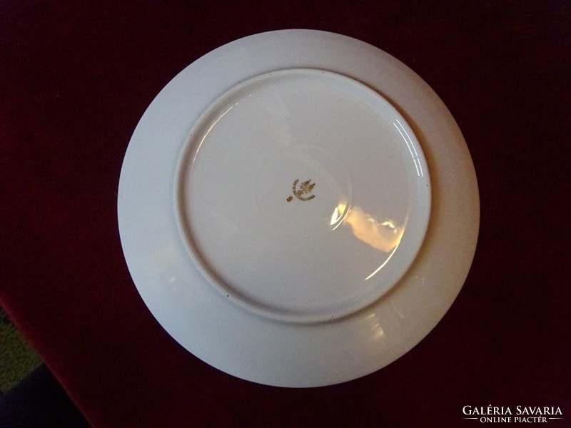 H & c Czechoslovakian porcelain antique flat plate with burgundy / gold border. He has!