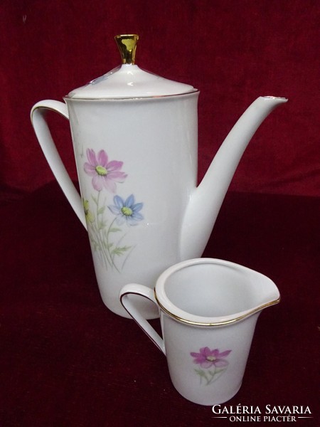 Winterling bavaria German porcelain tea pourer and milk pourer. With blue / pink / yellow flowers. He has!