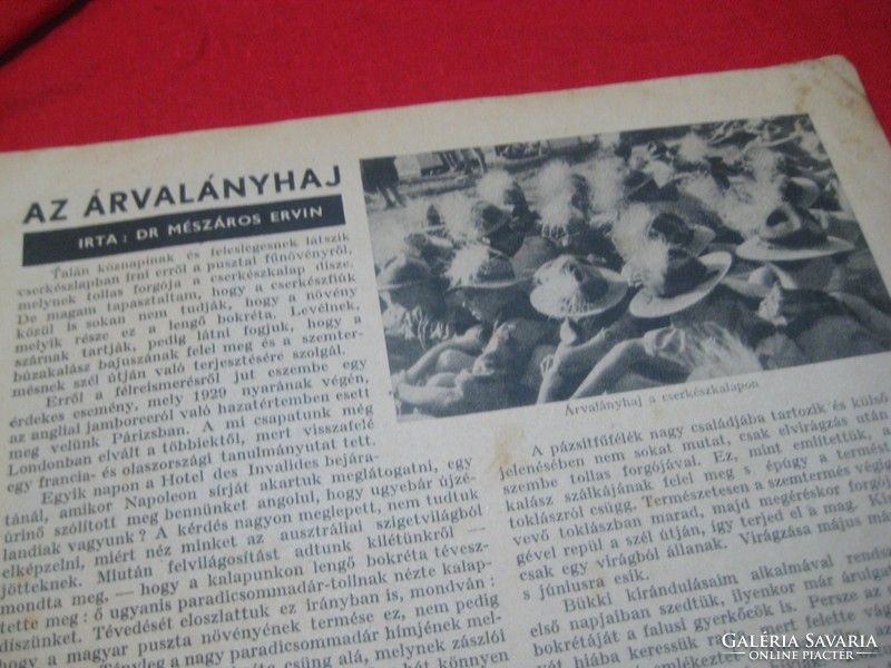 Hungarian scout 1935. 09 01 . On page 74