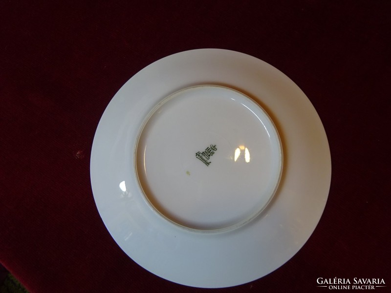 HC bavaria német porcelán süteményes tányér páfrány mintával, átmérője 19,5 cm. Vanneki!