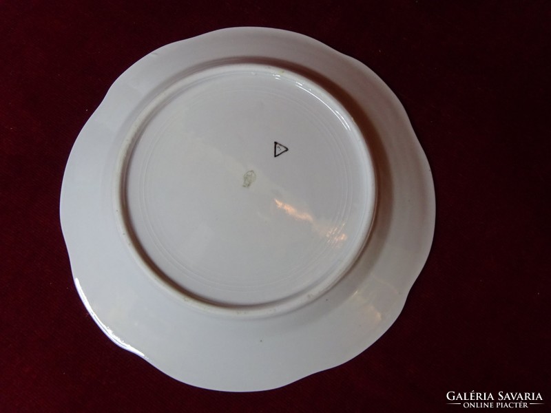 Zsolnay porcelain antique, flat plate with shield seal, more than 100 years old, showcase quality. He has!